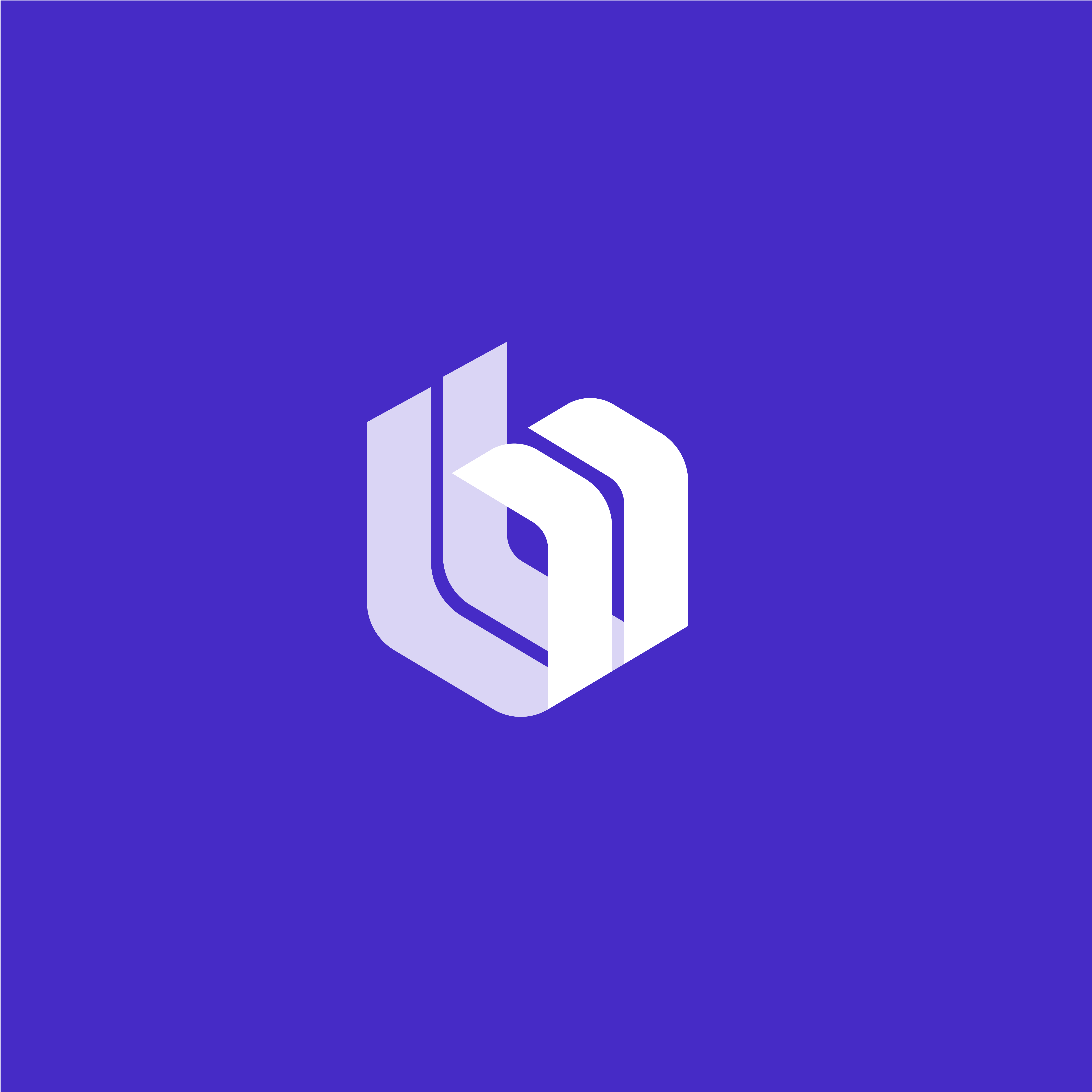 budpay-solo-primary-white